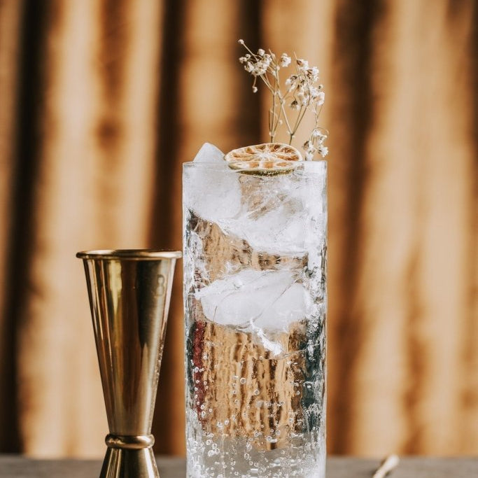 5 Cozy Highball Glass Cocktails For Your Fall and Winter Gatherings - Tipsy Cocktail Supply Co.