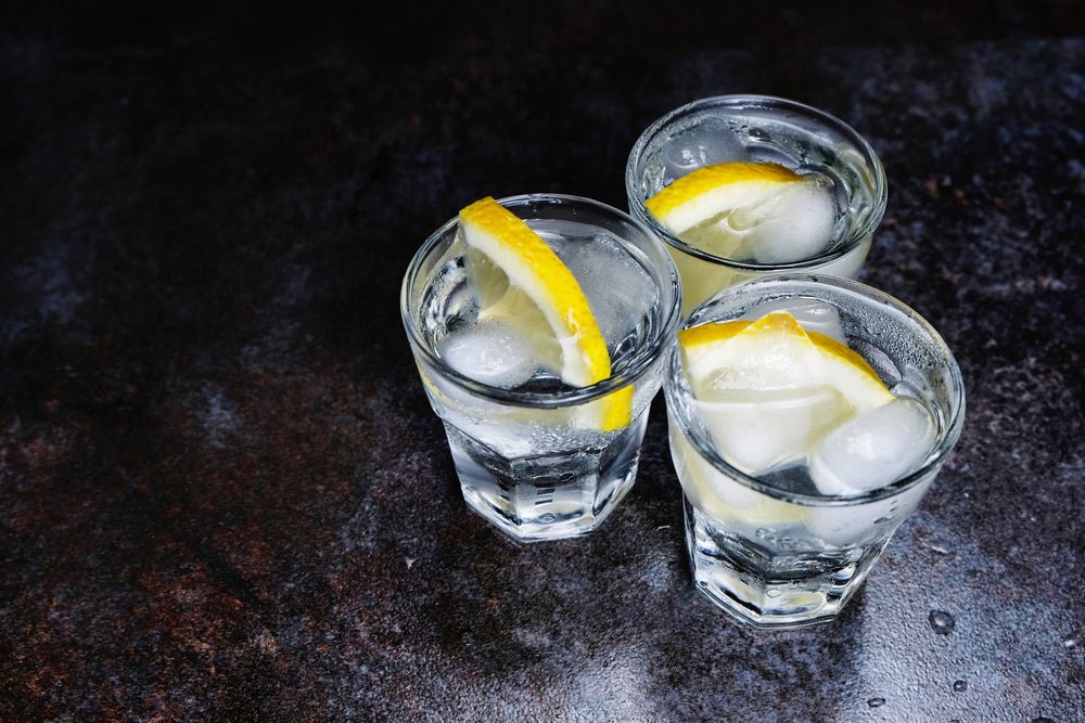 5 Good Gin Mixers To Complement Your Favorite Spirit - Tipsy Cocktail Supply Co.