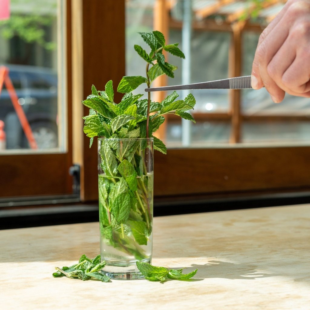 Garnish Tongs (10") - Tipsy Cocktail Supply Co.