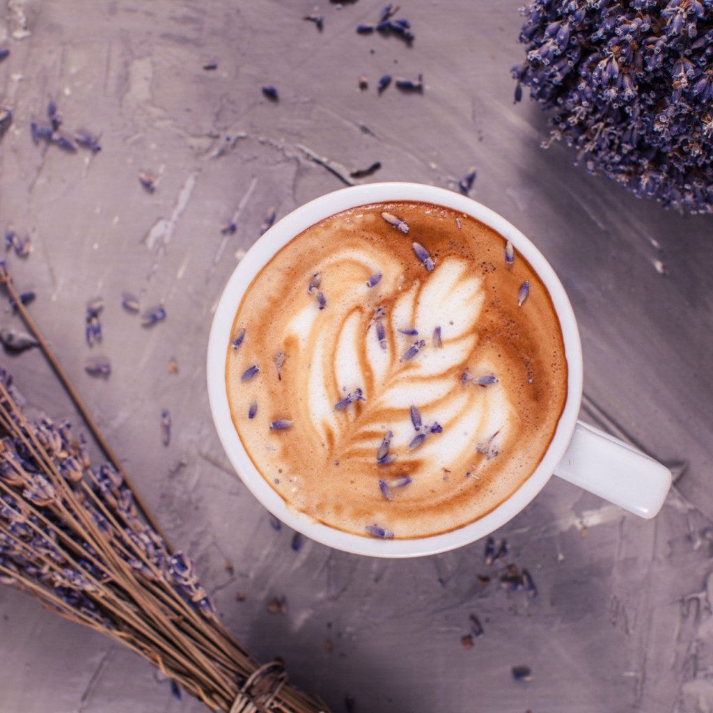 Lavender Syrup two - pack - Tipsy Cocktail Supply Co.